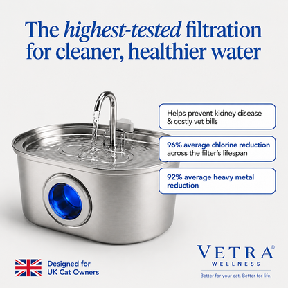 Vetra™ Stainless Steel Water Fountain