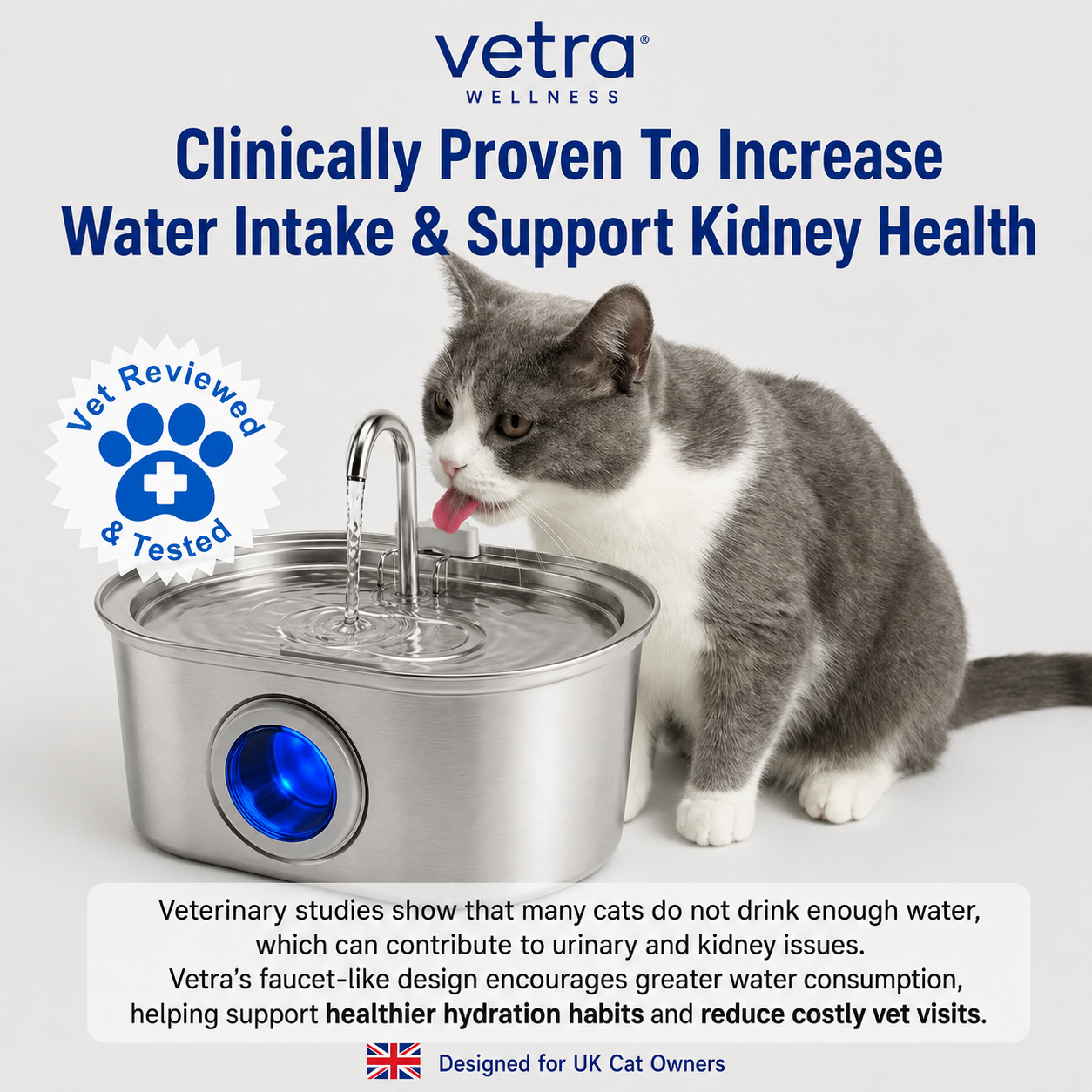 Vetra™ Stainless Steel Water Fountain